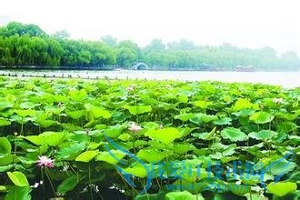 济南旅游详细指导