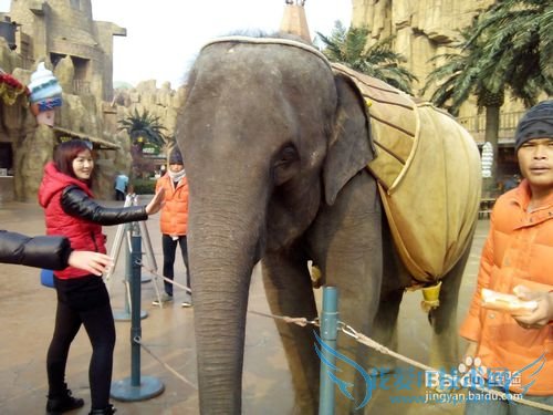 常州恐龙园旅游介绍