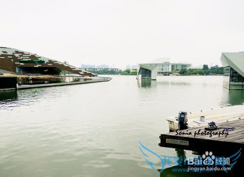 ST侣行-深圳欢乐海岸