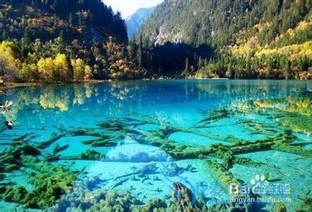 夏季最适合旅游的八大国内景点