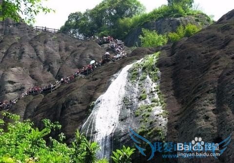 今年清明节去那里?