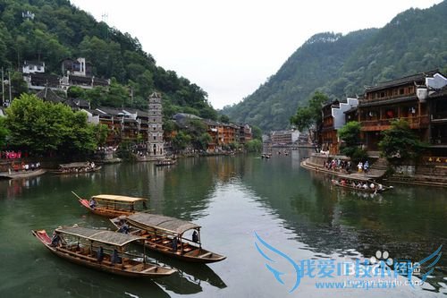 今年清明节去那里?