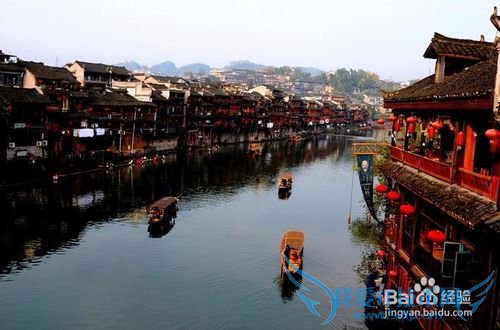 今年清明节去那里?