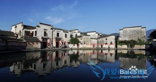 今年清明节去那里?