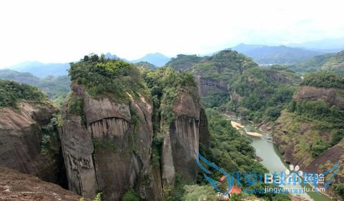 今年清明节去那里?