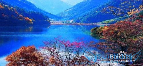 今年清明节去那里?