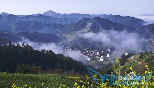 今年清明节去那里?