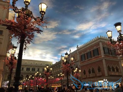 广州芳村到澳门一日游攻略超级方便