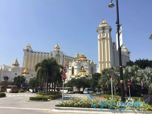 广州芳村到澳门一日游攻略超级方便