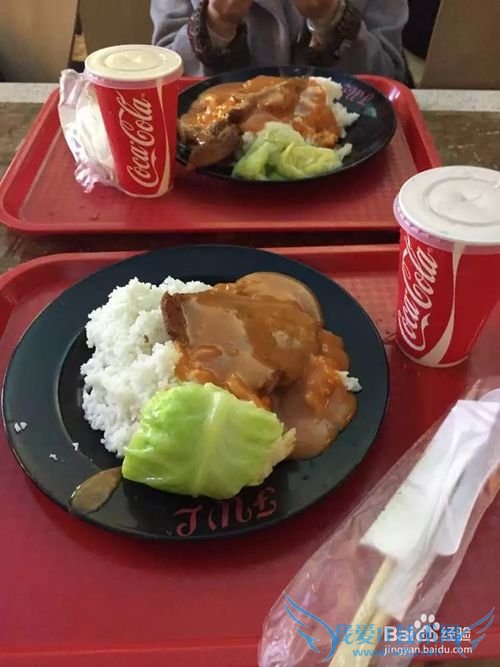 广州芳村到澳门一日游攻略超级方便