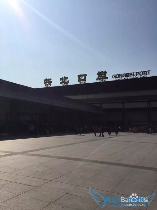 广州芳村到澳门一日游攻略超级方便