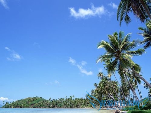 ÔõÑùͨ¹ýÔ·ÝÑ¡Ôñ¹úÄÚÂÃÓεØ