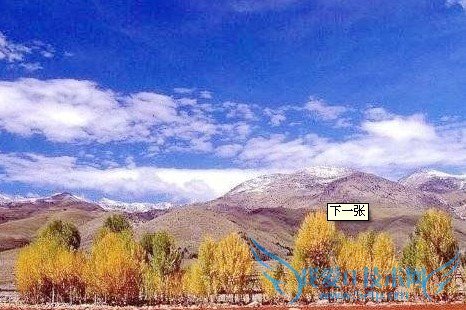 ÔõÑùͨ¹ýÔ·ÝÑ¡Ôñ¹úÄÚÂÃÓεØ