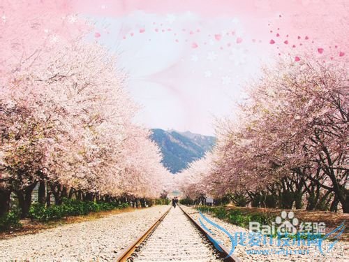 热门推荐韩国8大著名旅游景点