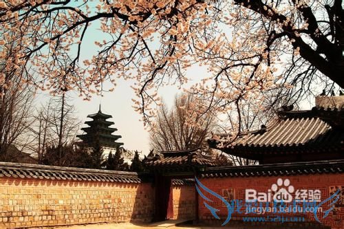 热门推荐韩国8大著名旅游景点