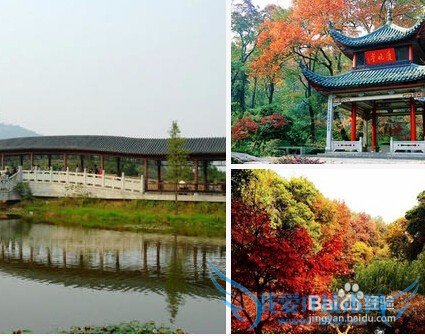 去湖南旅游,你应该去的地方?