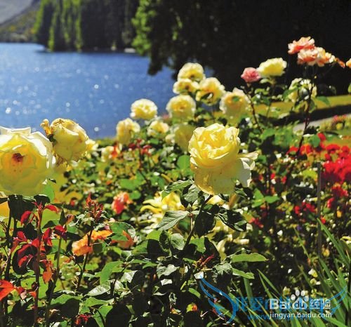 海外蜜月旅游景点推荐