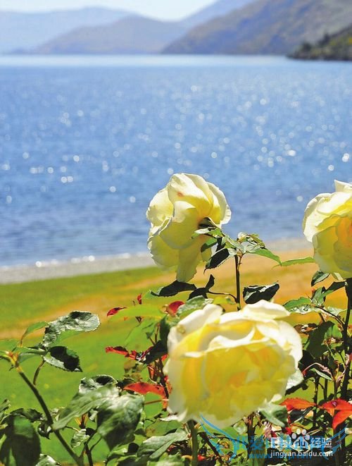 海外蜜月旅游景点推荐