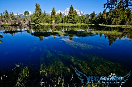 美国摄影旅游团---行行摄色与大家共分享