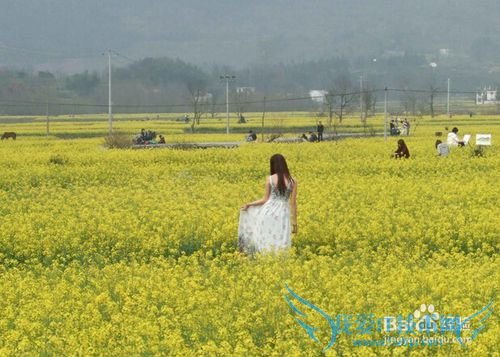 女孩子独自出去旅游,应该注意哪些呢?