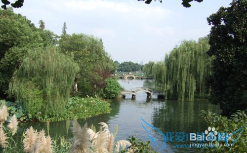 抚州旅游景点攻略