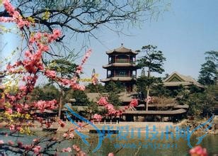 夏天到了很多学生都放假了,那么该去哪里旅游呢