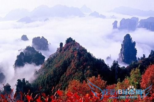 老爸老妈开心旅游地推荐~