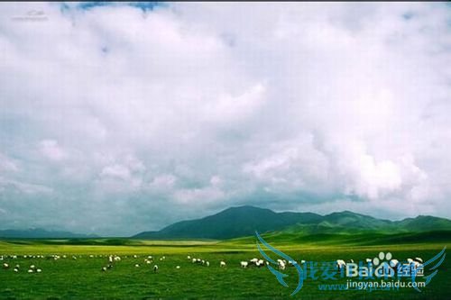 老爸老妈开心旅游地推荐~