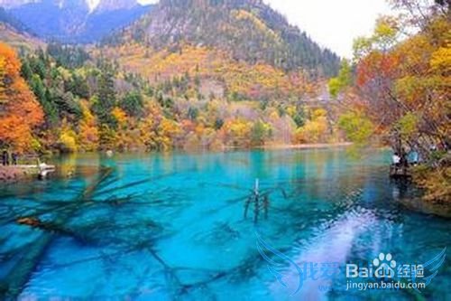 老爸老妈开心旅游地推荐~