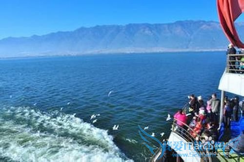 老爸老妈开心旅游地推荐~