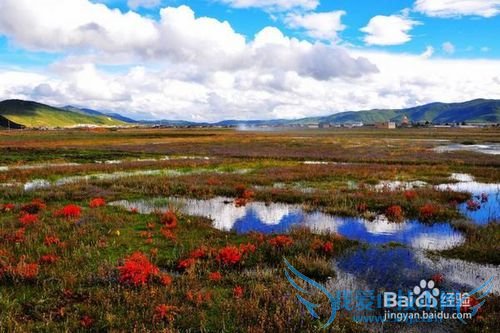 老爸老妈开心旅游地推荐~