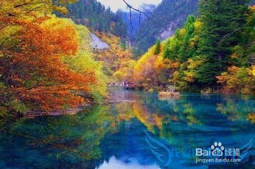 老爸老妈开心旅游地推荐~