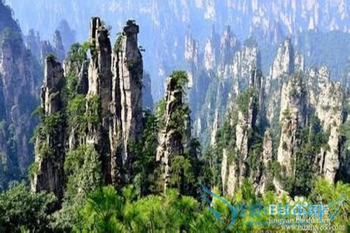 老爸老妈开心旅游地推荐~