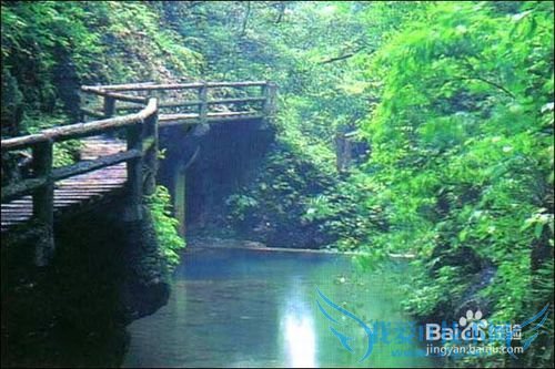 老爸老妈开心旅游地推荐~