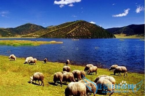 老爸老妈开心旅游地推荐~