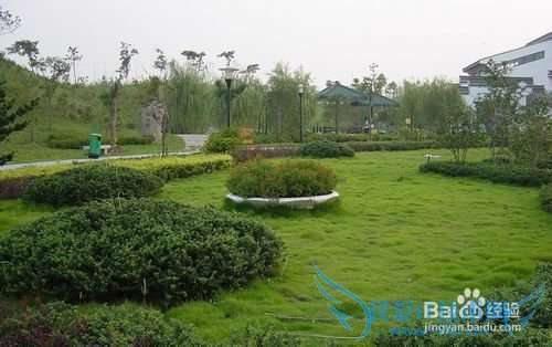 春季合肥旅游攻略