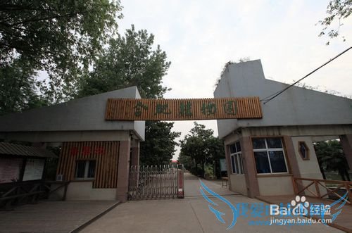 春季合肥旅游攻略