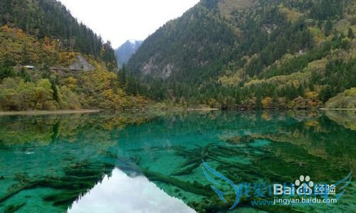 五一去哪里旅游