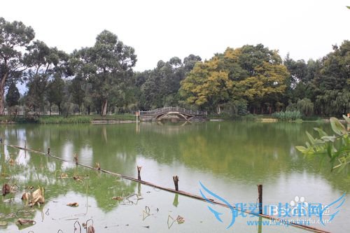 旅游-云南六日行-Day1