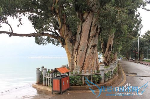 旅游-云南六日行-Day1