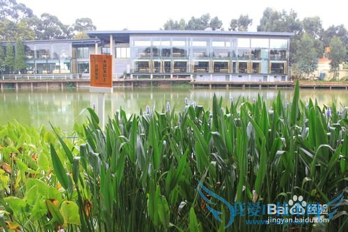 旅游-云南六日行-Day1