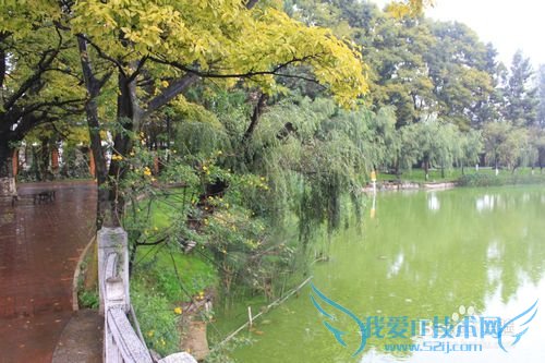 旅游-云南六日行-Day1