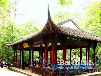 去杭州旅游怎么玩?