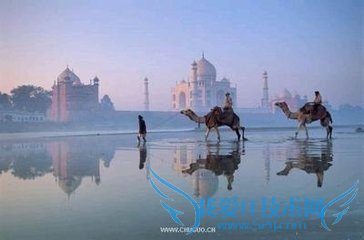 ±È½Ï±ãÒ˵ÄÂÃÓιú¼Ò