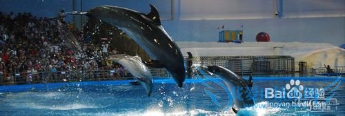 青岛旅游值得一看的景点