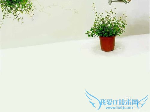 怎么去台湾旅游?【简明扼要】