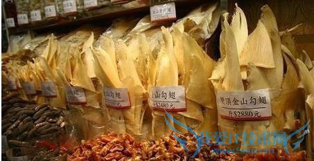 香港适合父母旅游的5大景点攻略