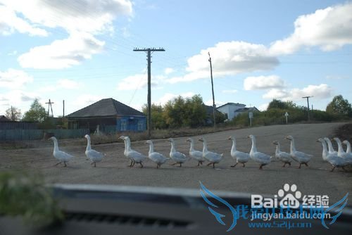 北京到俄罗斯旅游攻略