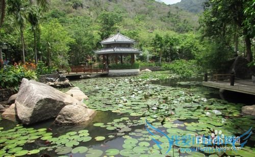 自助游(自由行)的好处