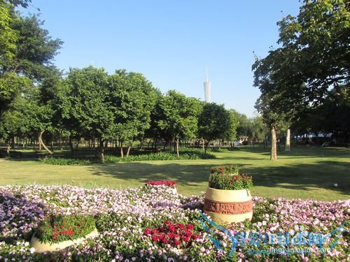 广州旅游热门线路推荐